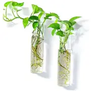Wall-Mounted Plant Terrarium Propagation Station - Cylinder 2 Long Cylinder