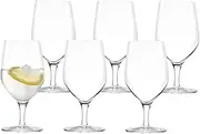 Stolzle Lausitz Ultra Water/Beer Glass 6 Piece Set, 450 ml Capacity