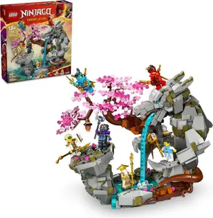 LEGO 71819 Ninjago-龍石神殿