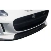 Front Center Spoiler Cap For Jaguar F-Type 2014-2017 (for: Jaguar)