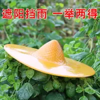 在飛比找樂天市場購物網優惠-塑料鬥笠防曬遮陽帽大簷農用採茶帽子釣魚防雨鬥篷草帽大號漁夫帽