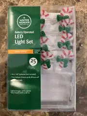 NEW Candy Cane Christmas LED 25 Light Set - Battery Operated Winter Wonder Lane