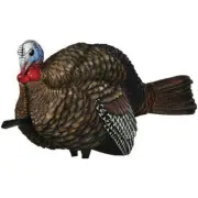 Avian-X Half-Strut Jake Turkey Hunting Decoy - AVXAVX8012