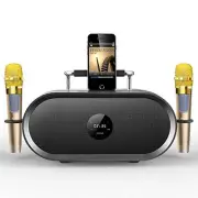 Karaoke Machine with Powerful & Clear Sound, 2 Wireless Microphones, K666