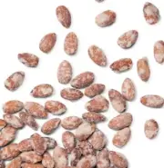 COCONUT FLAVORED ROASTED ALMONDS-BULK VALUE BAG LIMITED PICK YOUR CRAVING NOW!!!