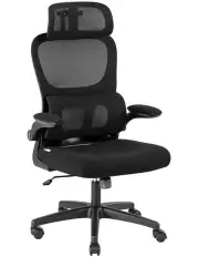 [Artiss] Ergonomic Office Chair Mesh Chairs in Black