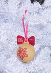 [Modern Sprout] Peppermint Cosmos Ornament Seed Kit
