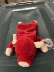 Snort the pig beanie baby brand new with tag