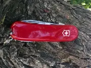 Victorinox Swiss Army Knife, Evolution S101, Red, 85 mm, 2.3603.SE, New In Box
