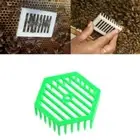 1X Plastic Green Queen Marker Cage Clip Bee Catcher Hot Beekeepin Tool K2C6