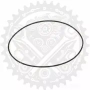 Athena Cylinder Head Gasket O-Ring Fits Beta Xtrainer 250 2T