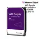 WD紫標 4TB 3.5吋 監控硬碟(WD43PURZ) 廠商直送