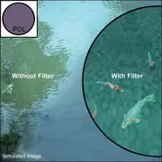 Sigma WR 105mm Circ/Pol Filter