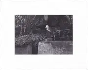 8X10" Matted Print Picture, Aged, Imogen Cunningham: Imogen Descending Steps