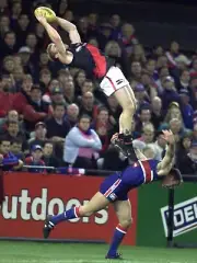 AFL FOOTBALL MARK OF THE YEAR TEAM PLAYER PHOTO,ESSENDON BOMBERS VINTAGE,q