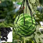 Garden Stand Trays Watermelon Nets Melon Hammock Pumpkin Support Melon Cradle