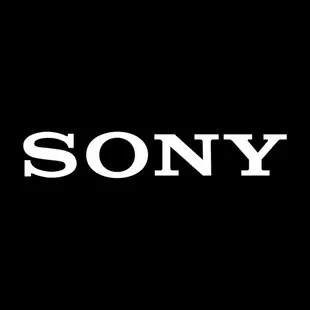 SONY SDXC 64G UHS-II Class 10 V30 高速記憶卡 SF-E64A 索尼公司貨