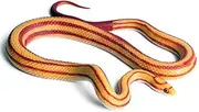 Yitaocity Realistic Rubber Fake Corn Snake Toy for Garden Props and Practical Joke