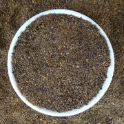 Wattleseed Milled Tea