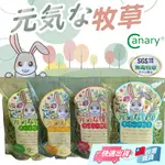 【CANARY】CANARY元氣牧草 牧草 兔用牧草 小寵牧草 兔子牧草 天竺鼠牧草 牧草系列 提摩西草 苜蓿草 燕麥草