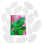 Bigger Perfect Leaves 15 Sizes Heat Resistant Plastic Templates by Karen Kay Buc