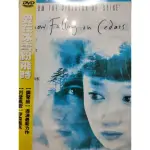 西洋電影-DVD-愛在冰雪紛飛時-伊森霍克