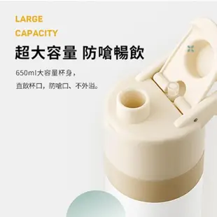 【RELEA】漸變霧面戶外運動水壺 Tritan材質 噴霧式水瓶 可喝可噴 650ml(買一送一)