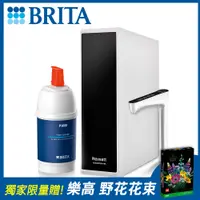 在飛比找PChome24h購物優惠-德國BRITA》P1000濾芯-瞬熱雙溫合購組