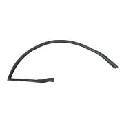 2017-2020 Aston Martin DB11 Front right passenger door seal OEM HY53-C20708-AC