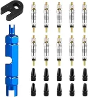 10pcs Valve Core for Presta,Valve Core Bike Bicycle Replacement with 2 Valve Core Remover Tools&10 Valve Stem Core Caps