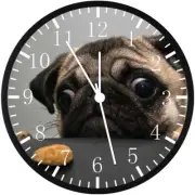 Cute Pug Black Frame Wall Clock Large 12" Glass Face Non-Ticking E208 NEW