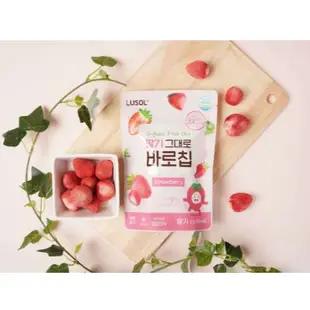 韓國LUSOL 果乾20g(藍莓/草莓)