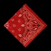Aaron Watson Red Bandana CD