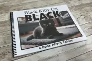 Black | Black Kitty Cat | LEARNING COLORS | Spiral Bound Picture Book