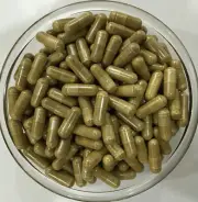 Moringa Oleifera Leaf Extract Capsules 10:1 Pure & High Quality