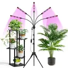 Grow Lights for Indoor Plants Full Spectrum with Stand and Timer, (Red+Blue+W...