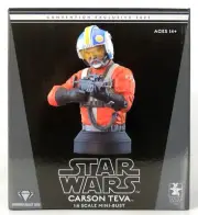 Carson Teva 1:6 Scale Mini-Bust Star Wars 2023 SDCC Exclusive #117/1,000 SEALED