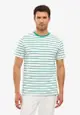 Striped Combed Cotton Mens T-Shirt