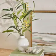 Wattle Yellow Bouquet in Vase [MUSHWATTVS24B]