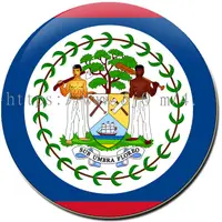 在飛比找蝦皮購物優惠-貝里斯 Belize 國旗 胸章 (別針) / 世界國旗