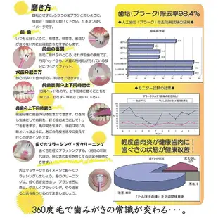 日本STB 360度(蒲公英) 牙刷 兒童牙刷 幼兒牙刷 牙刷