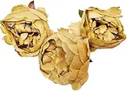 Banksia and Rose Artificial Decorative Peony Heads, Fawn, (Pack of 12)