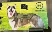 Philadelphia Eagles Pet Tactical Vest, Heavy Duty!! Go BIRDS! Ships Free