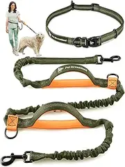 Exquisite Hands Free Dog Leash for Running | Waist Leash for Walking, Jogging, Cycling and Training w. Adjustable Belt and Retractable Bungee | Pet Hiking Gear Pack | Medium and Large Dog Lead Walker