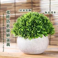 在飛比找momo購物網優惠-【療癒之家】北歐仿真綠植盆栽(多肉植物 園藝 人造花 乾燥花