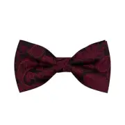 Paisley Bow Ties for Men Kids, Classic Adjustable Pre-Tied Large Burgundy