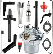 591378 Carburetor for Briggs & Stratton Nikii 697978 695115 030430 695114 Fits Storm Responder 5500 Generator
