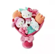 Hello Kitty and Friends - 12-inch Plush Valentine's Bouquet - 9 Plush Included