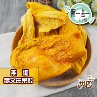 在飛比找PChome24h購物優惠-無糖愛文芒果乾 300g大包裝(買一送一共兩包) 新鮮果乾 