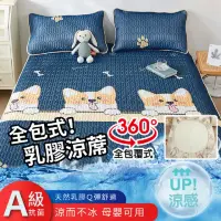 在飛比找momo購物網優惠-【DaoDi】床包式冰絲乳膠涼蓆含枕套組(尺寸單人加大-冰絲